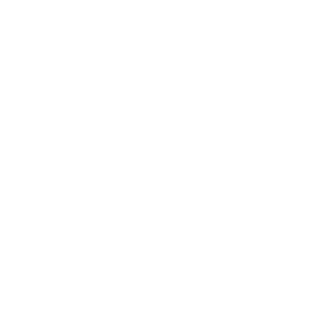 Intelisys_Logo_White